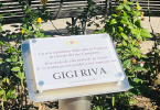 Targa Gigi Riva città di CagliaRi